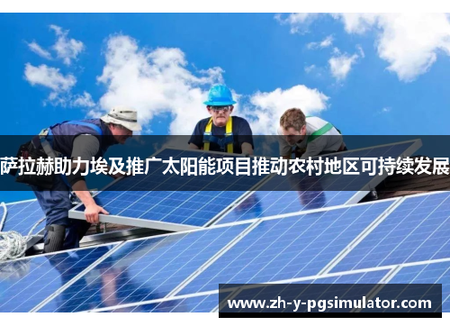 萨拉赫助力埃及推广太阳能项目推动农村地区可持续发展